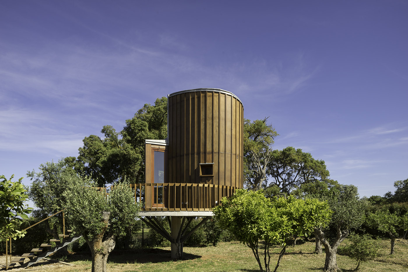 Wooden house in the treetops. Emphasis on smell, touch and comfort in the interior