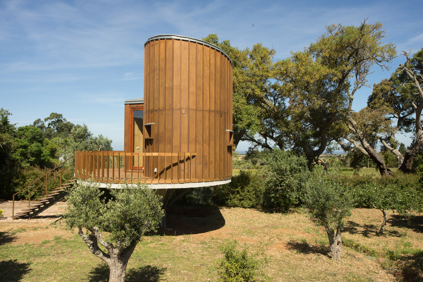 Wooden house in the treetops. Emphasis on smell, touch and comfort in the interior