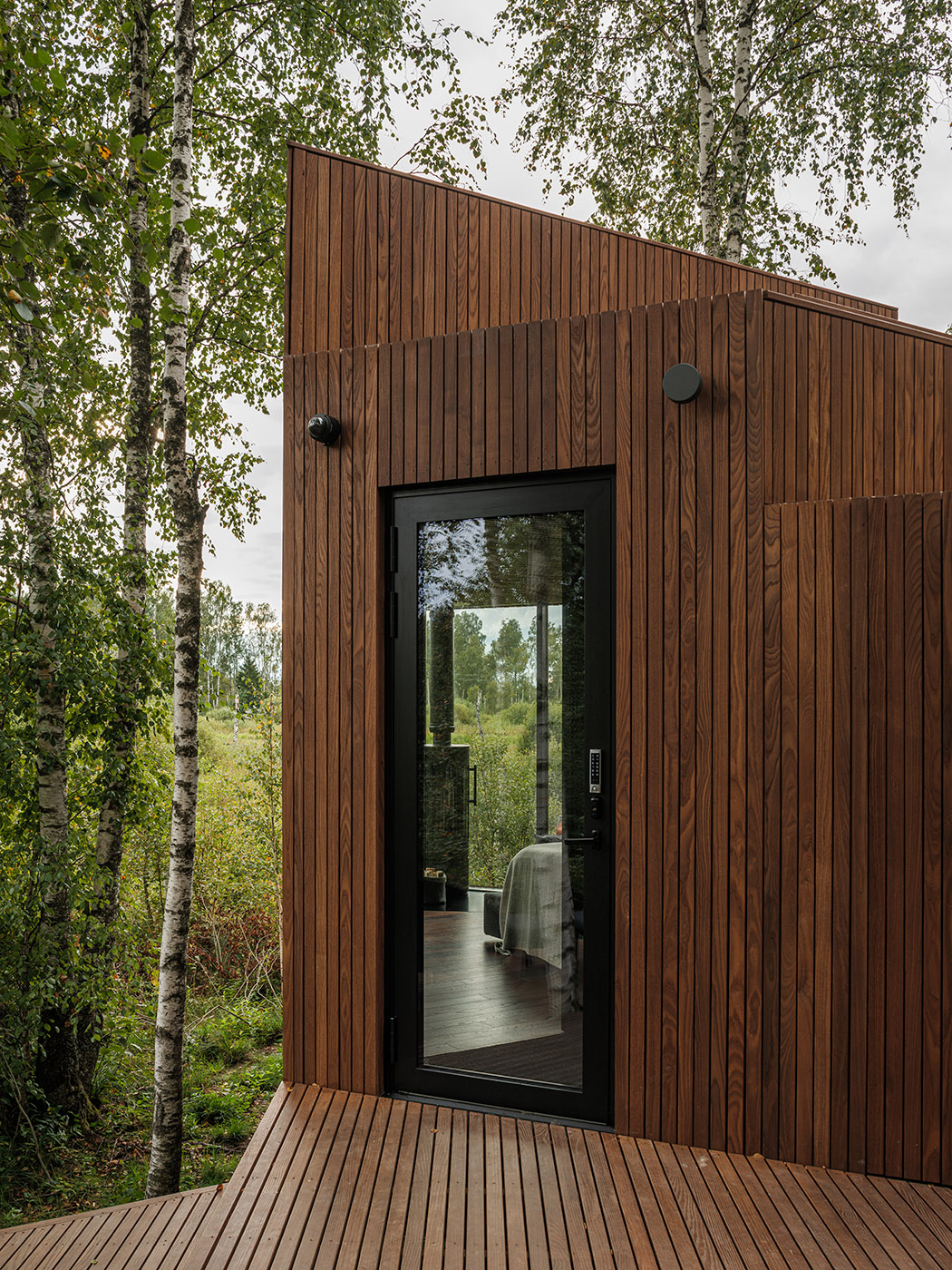 Tiny hotel on the edge of a swamp. Birch trees surround the hotel room