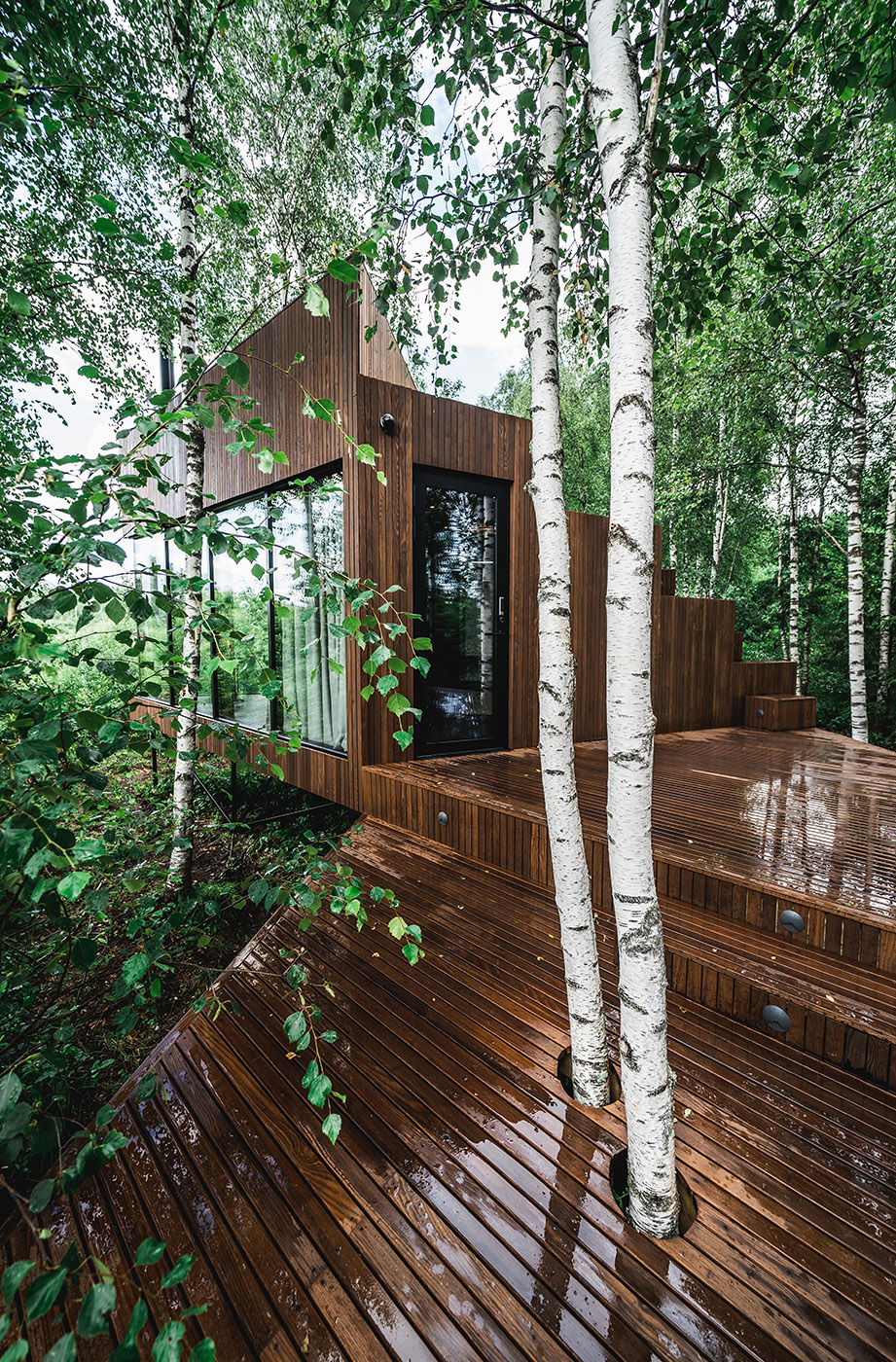 Tiny hotel on the edge of a swamp. Birch trees surround the hotel room