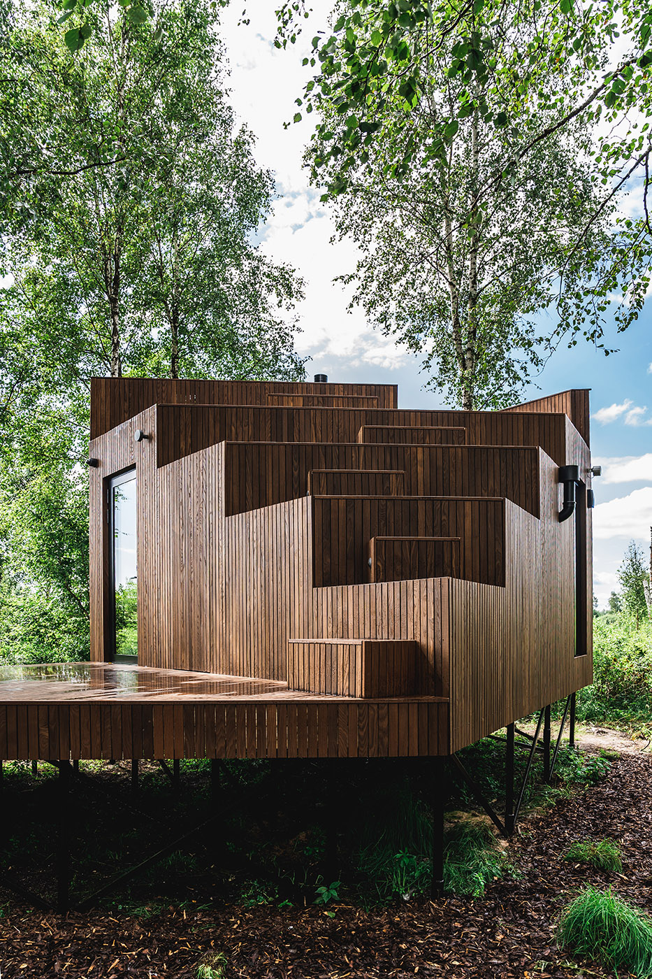 Tiny hotel on the edge of a swamp. Birch trees surround the hotel room