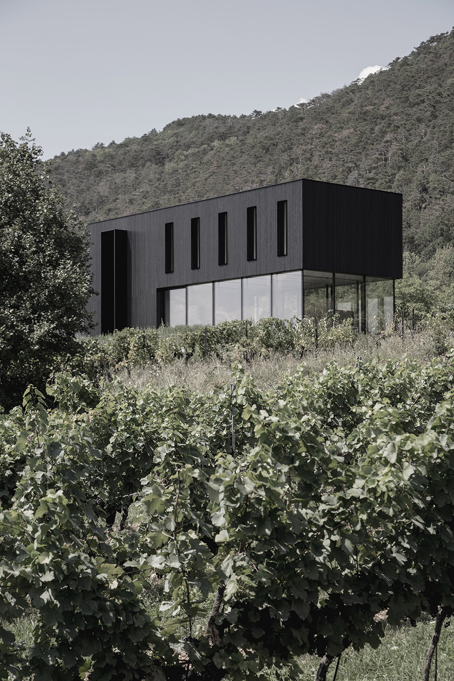 House on wine terraces. Wooden slats cover the structure like a velvety black veil