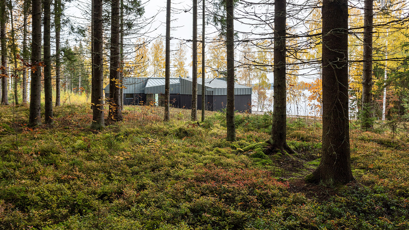 Pine and birch forests and views of the lake: the views create harmony in the Square House