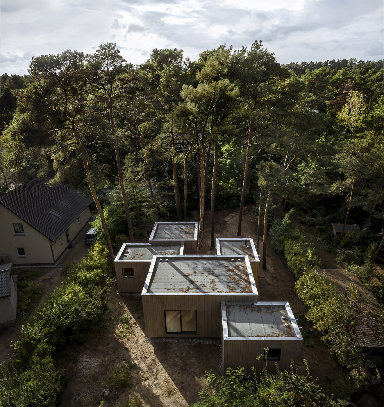 Five boxes arranged between tall pine trees. Trees dictate the irregular shape