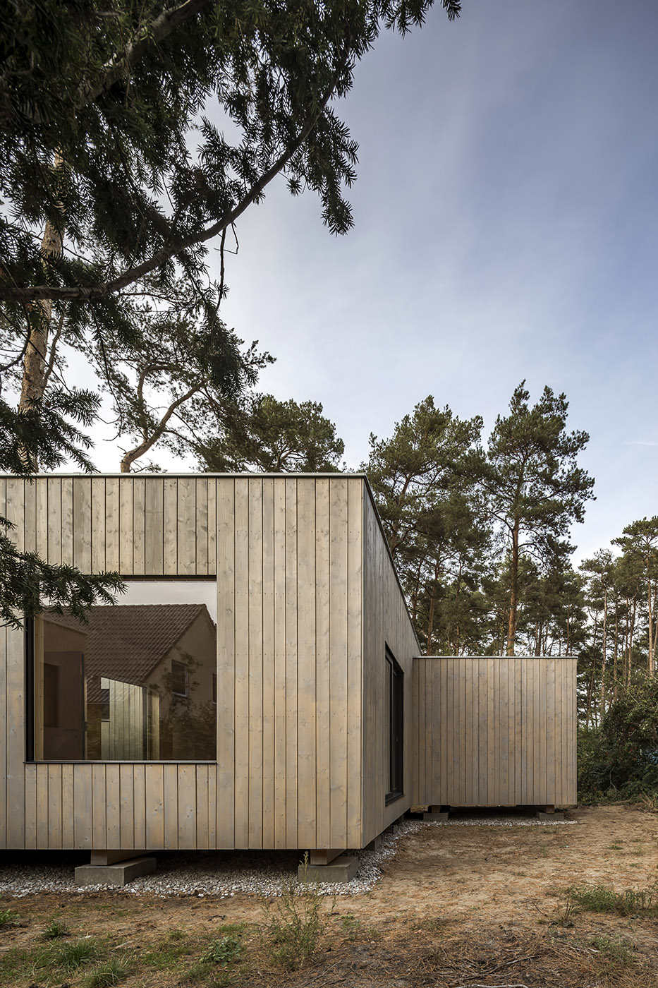 Five boxes arranged between tall pine trees. Trees dictate the irregular shape