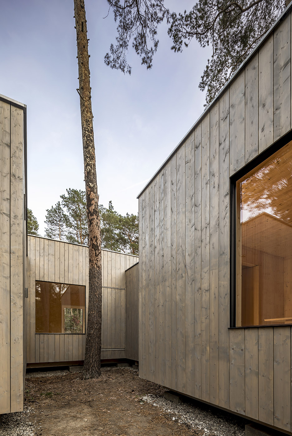 Five boxes arranged between tall pine trees. Trees dictate the irregular shape