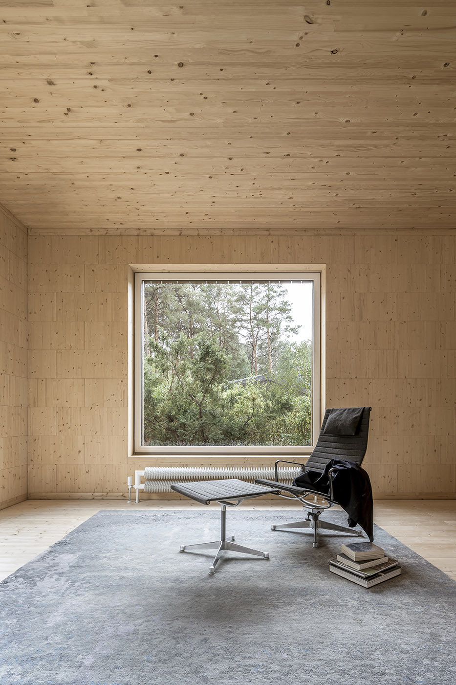 Five boxes arranged between tall pine trees. Trees dictate the irregular shape