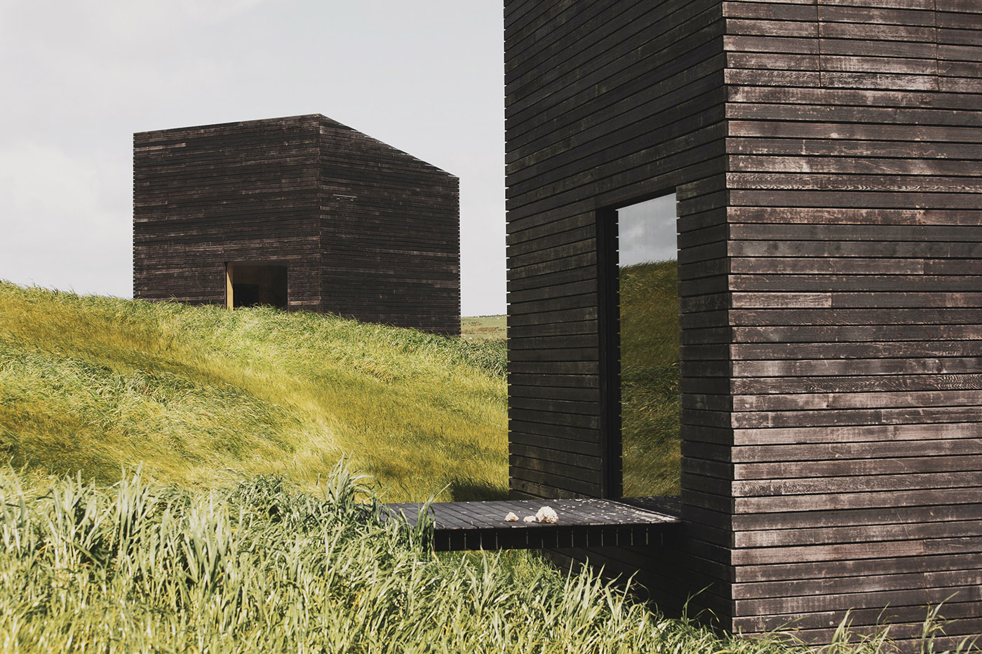 Eagle nests swaying on a sea of grass: a new vision for New Zealand's coastal future