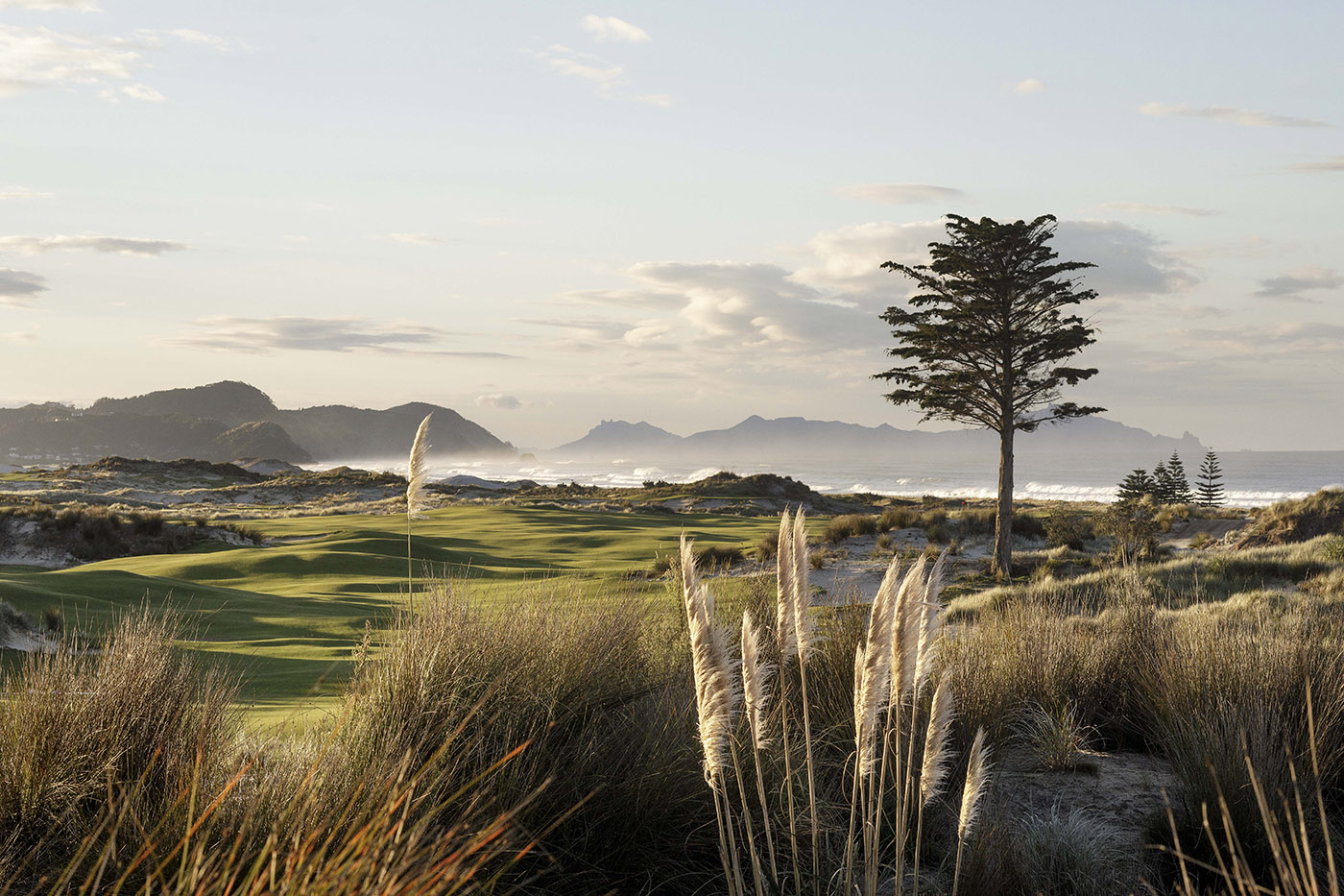 In New Zealand, golf courses, sand dunes and the sea all embrace the delicate architecture of the Tara Iti Clubhouse