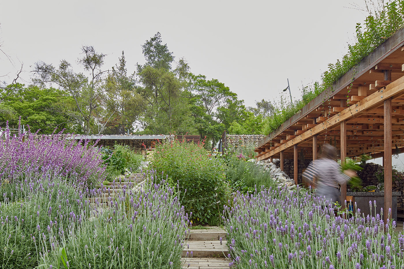 El Terreno. An urban garden designed as an area in order to educate about environmental sustainability