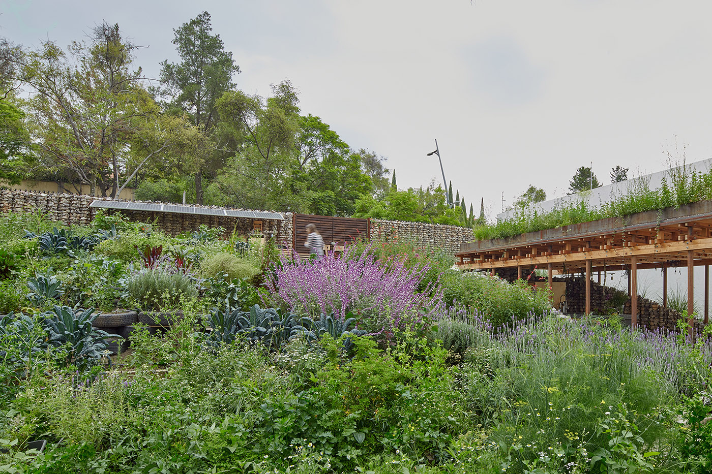 El Terreno. An urban garden designed as an area in order to educate about environmental sustainability