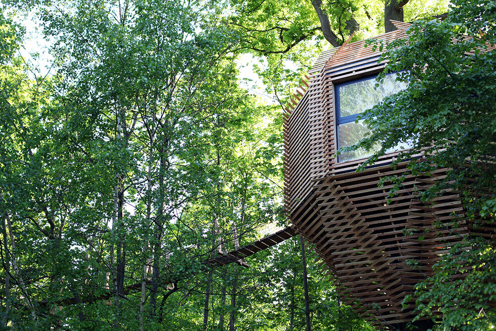 Enhancing a 100-year-old oak tree? Origin, the sartorial wooden dress sewn all around the tree