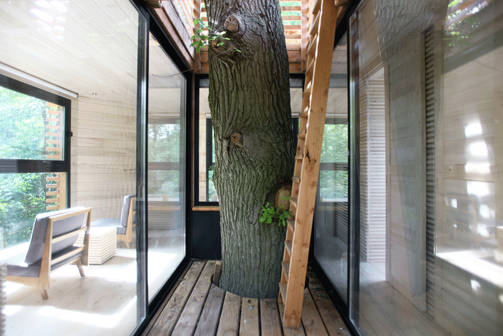 Enhancing a 100-year-old oak tree? Origin, the sartorial wooden dress sewn all around the tree