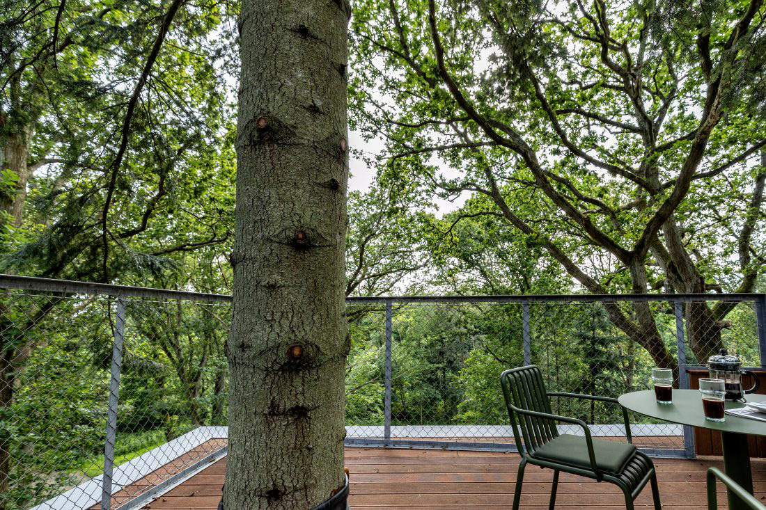 Treetop Hotel Lovtag: sleeping in the trees of a small, picturesque Danish forest