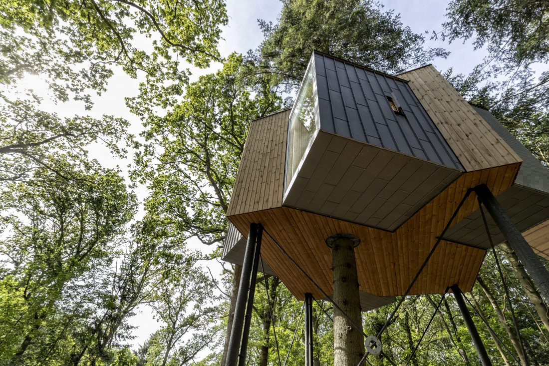 Treetop Hotel Lovtag: sleeping in the trees of a small, picturesque Danish forest