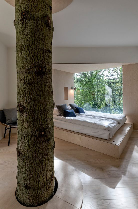 Treetop Hotel Lovtag: sleeping in the trees of a small, picturesque Danish forest