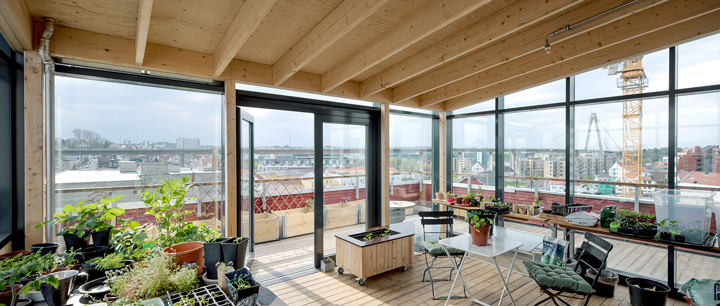 Vindmøllebakken, cohabitation sociale. Une architecture en bois qui met l'accent sur le partage.