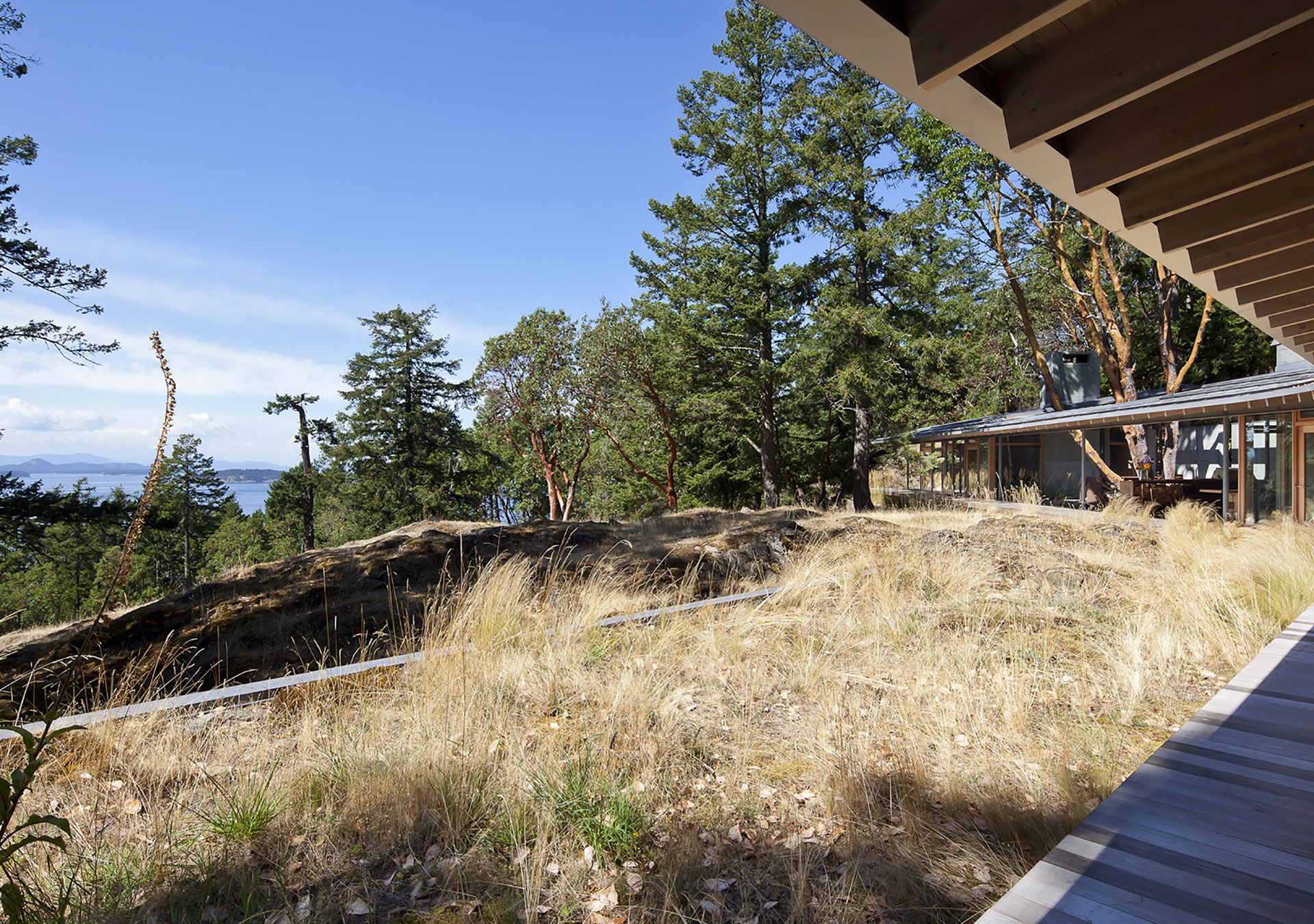 El bosque de abetos da paso al Suncrest Residence