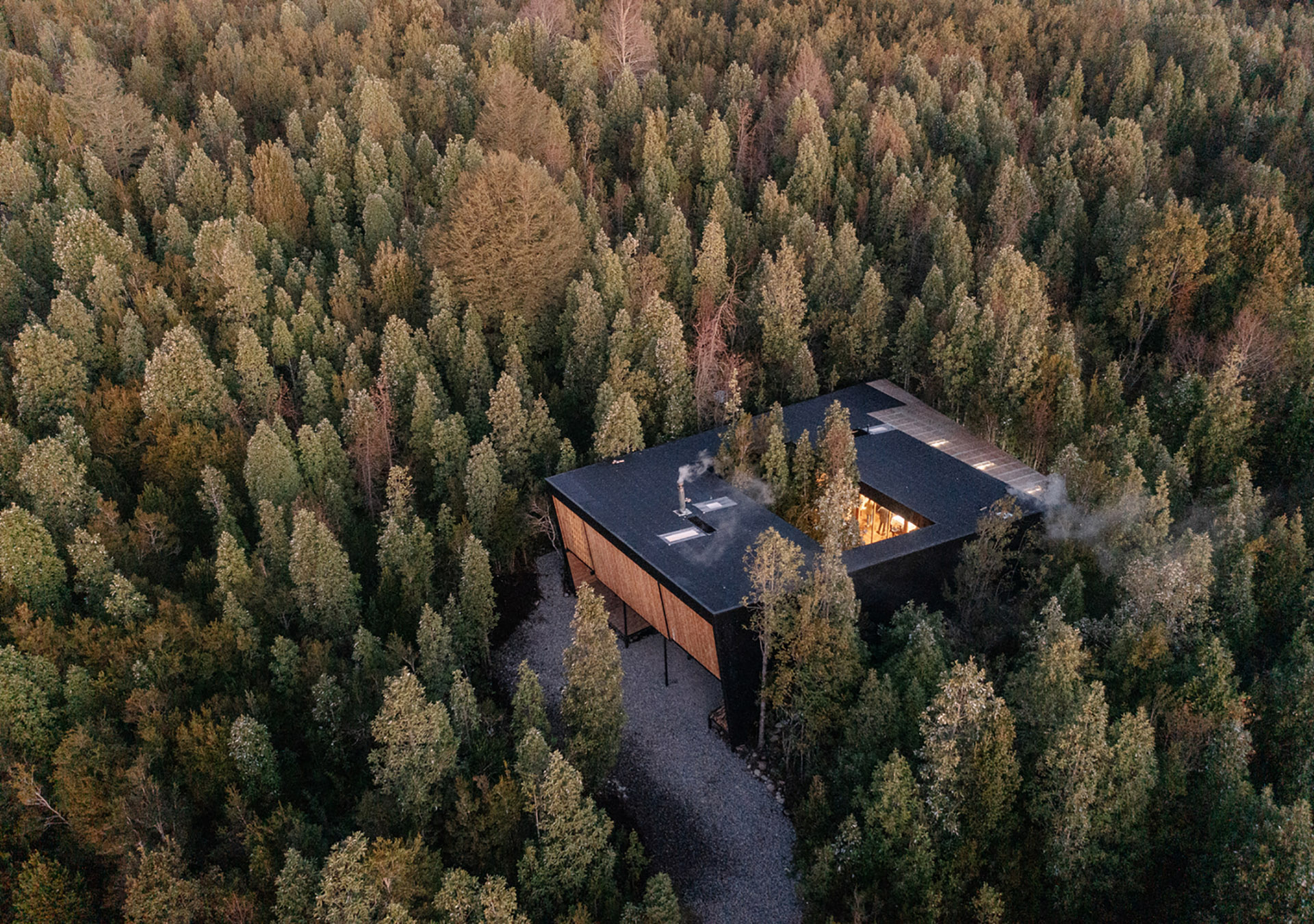 Native trees hosted by