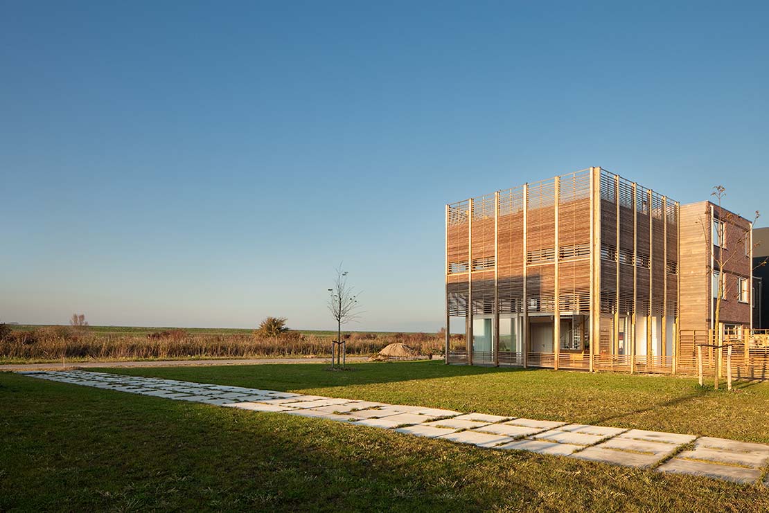 Daylighthouse 2. A wooden and glass cube bathed in light