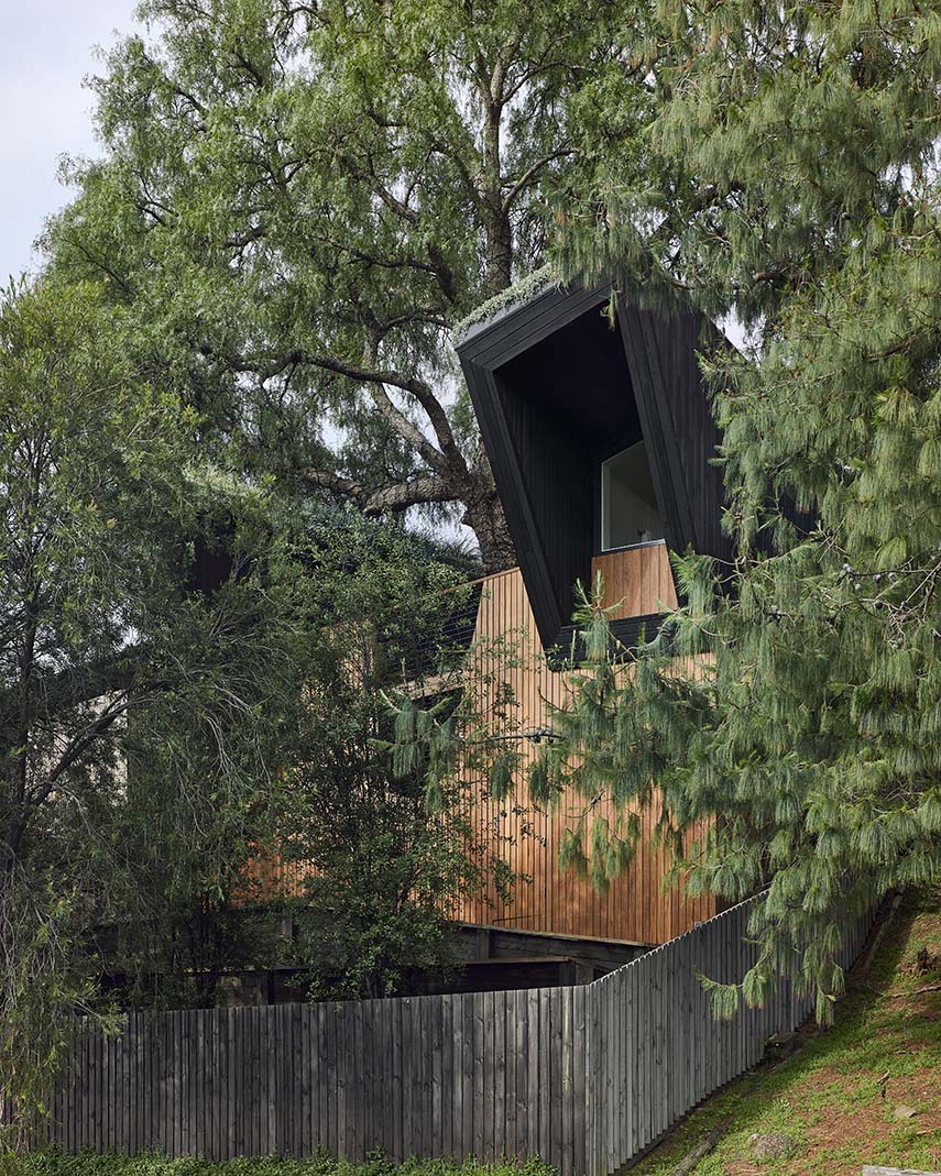 Pepper Tree Passive House. Une dépendance-bureau à domicile confortable et écologique