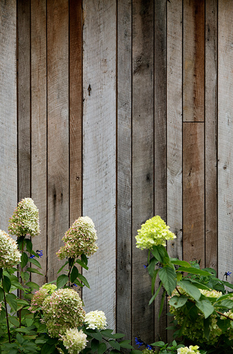 Cabina in legno tra la natura