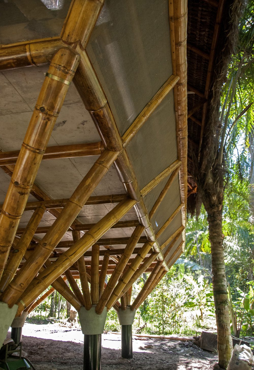 Hostel on wooden pillars
