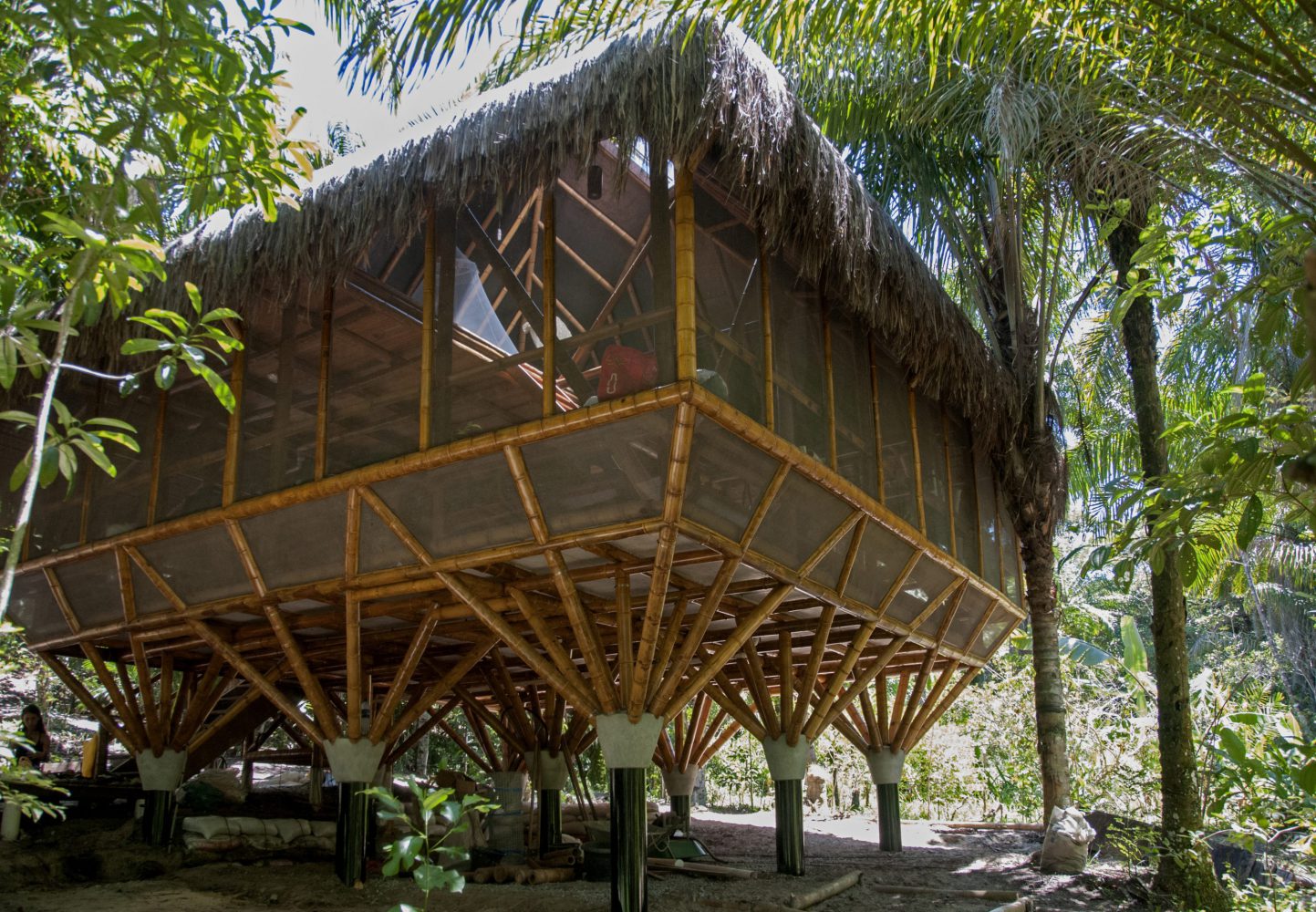 Albergue de madera en la selva