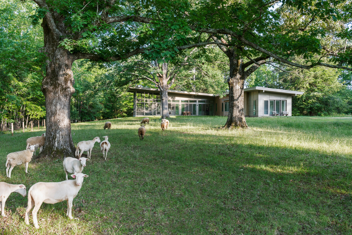 Casa in periferia tra gli alberi