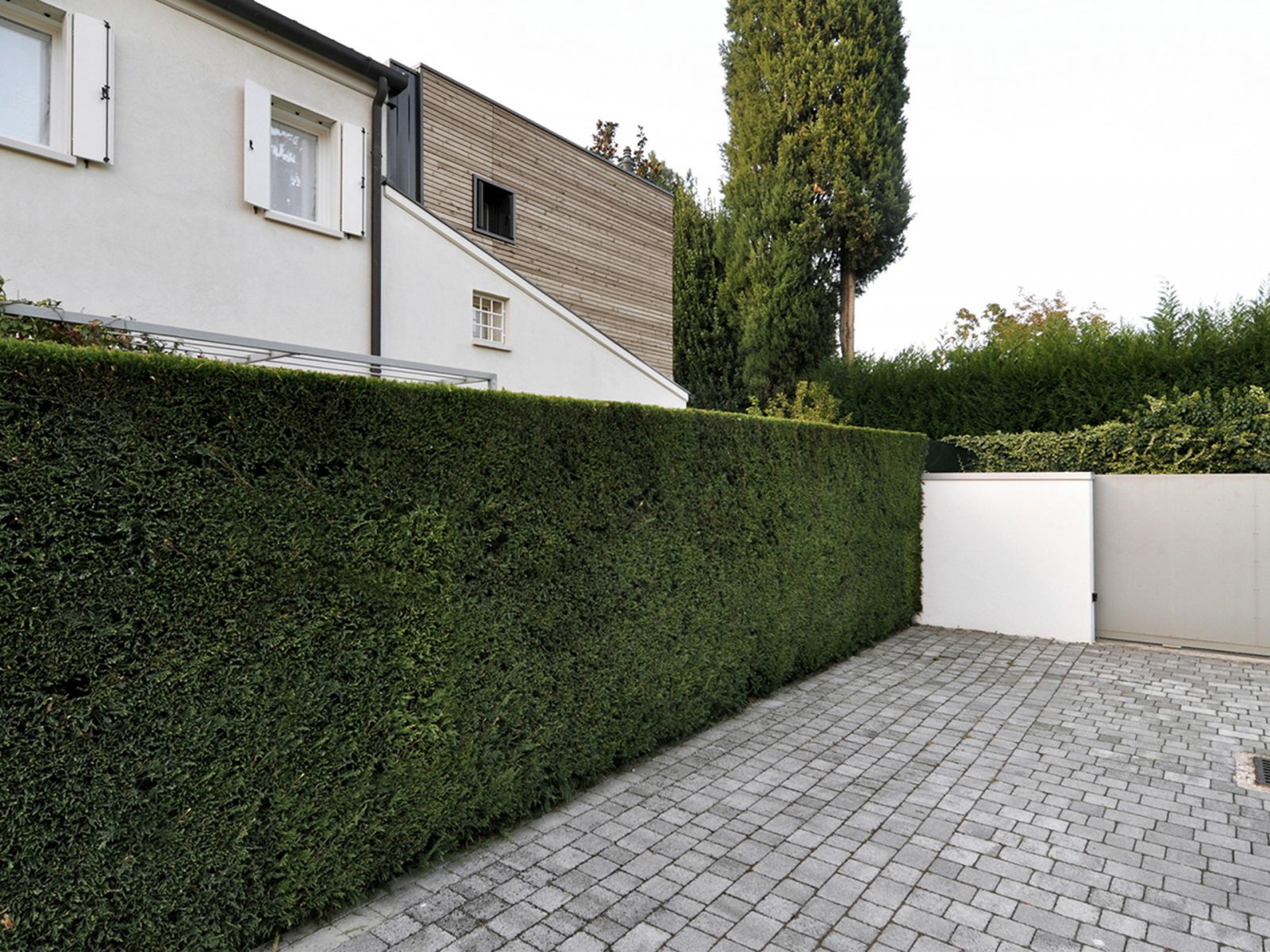 Existing house in white plaster
