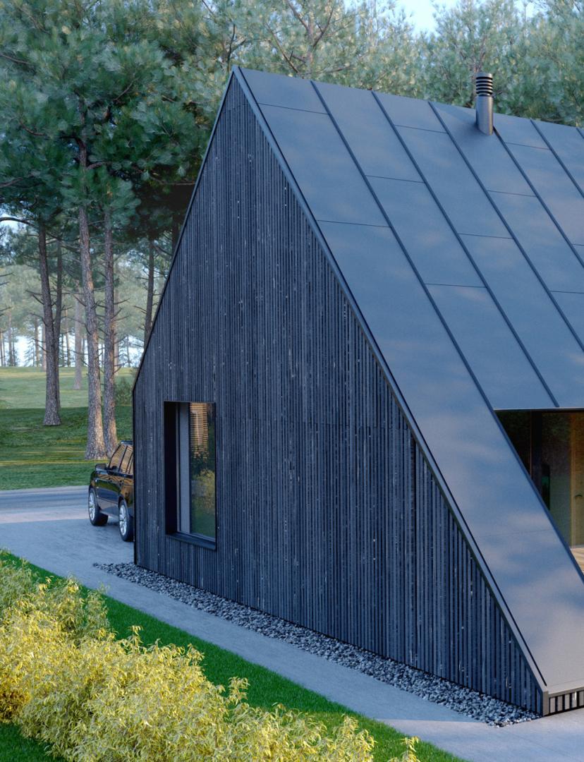 Cabin with exterior in dark wood