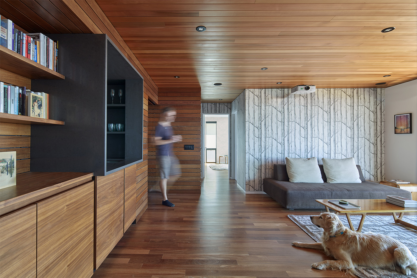 Villa in legno in California