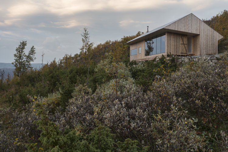 Casa in legno di pino tra gli alberi