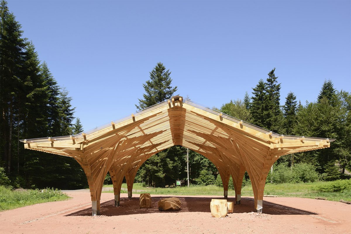 Pabellón de madera en el bosque