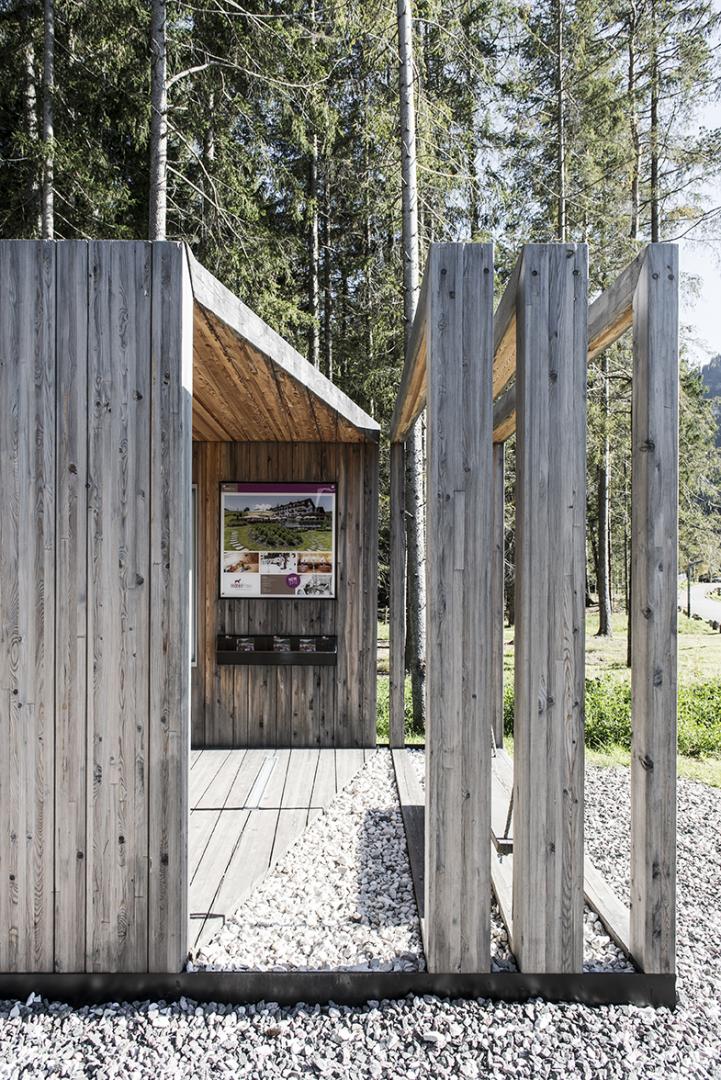 Space in nature in wood