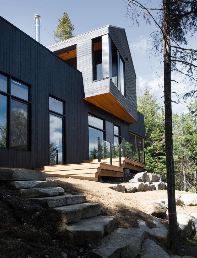 Wood and lake
