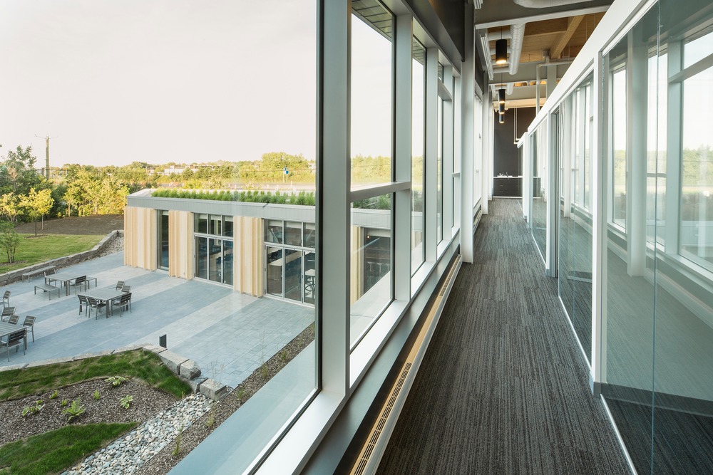 contemporary architecture wood and glass