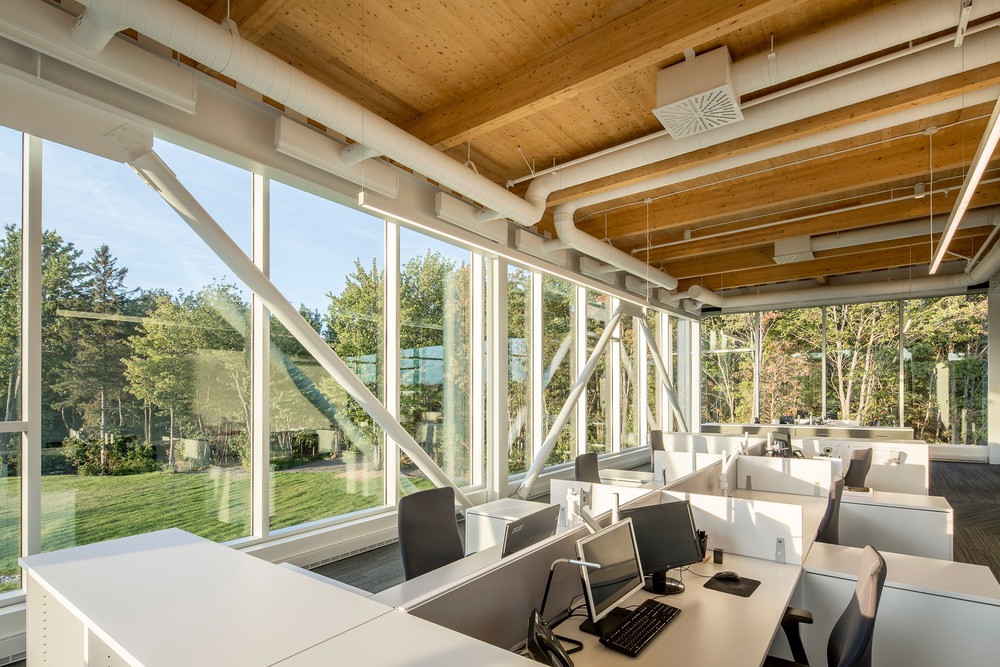 contemporary architecture wood and glass