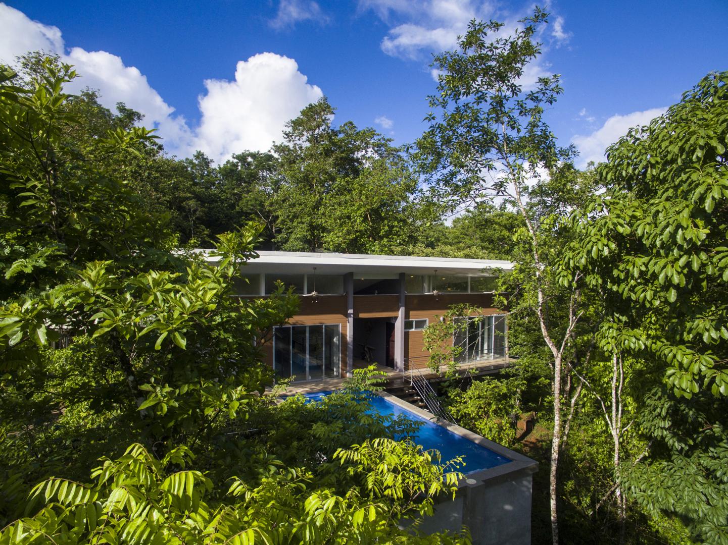 Villa surrounded by vegetation