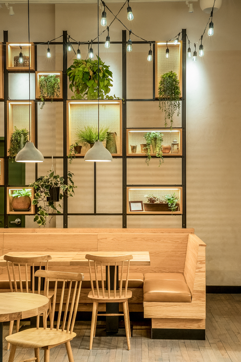 Muebles de madera e iluminación suspendida
