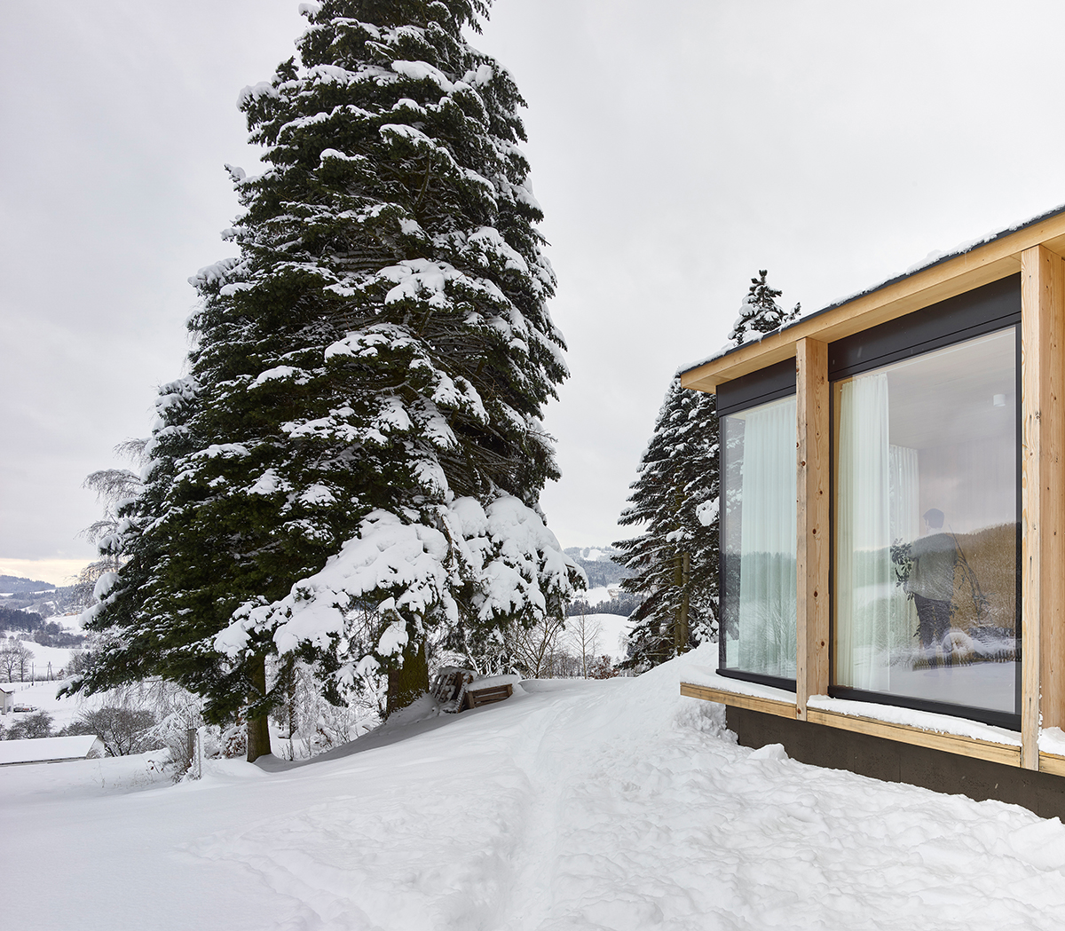 Extension in wood and glass