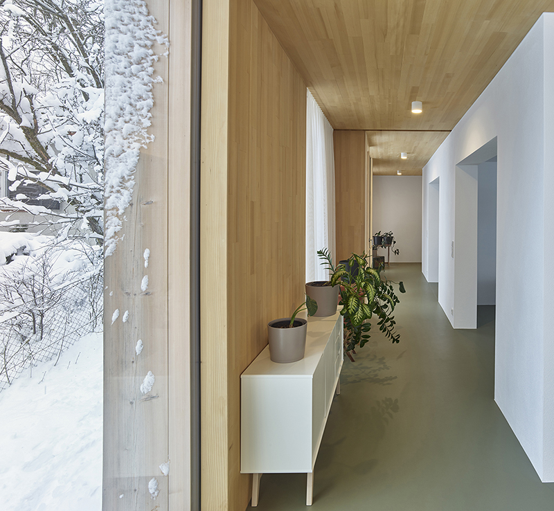 Extension in wood and glass