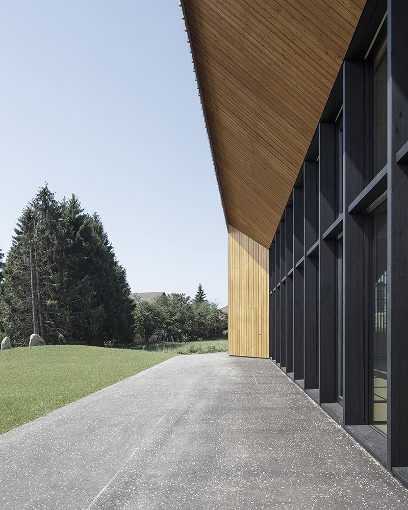 Facade Multifunctional wooden center