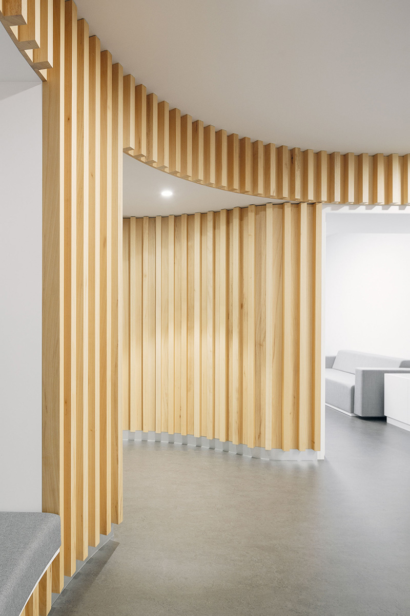 Office company with wooden walls