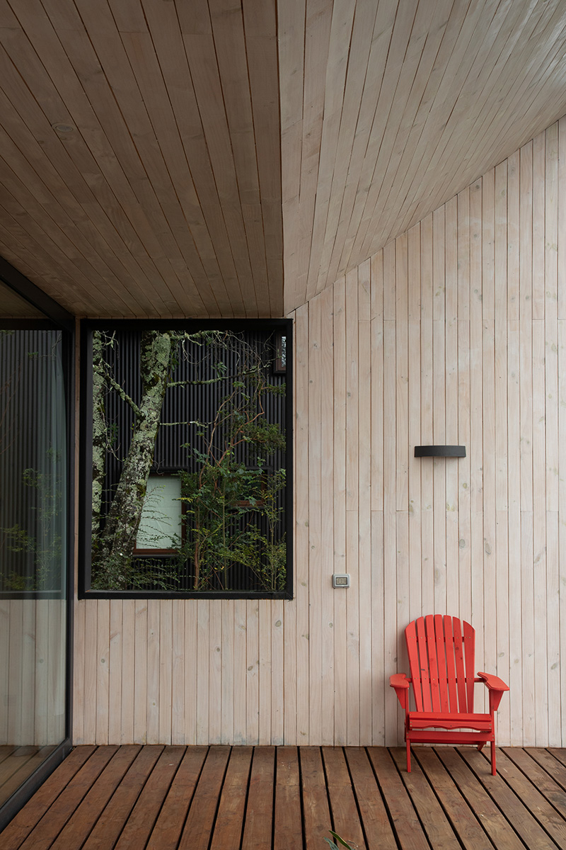Volume in wood overlooking the lake
