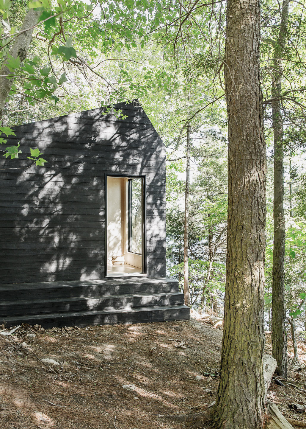 Cabina tra gli alberi