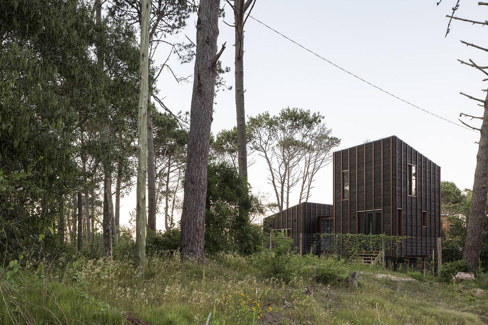 Casa de madera en el bosque