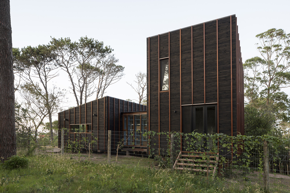 Casa de madera en el bosque