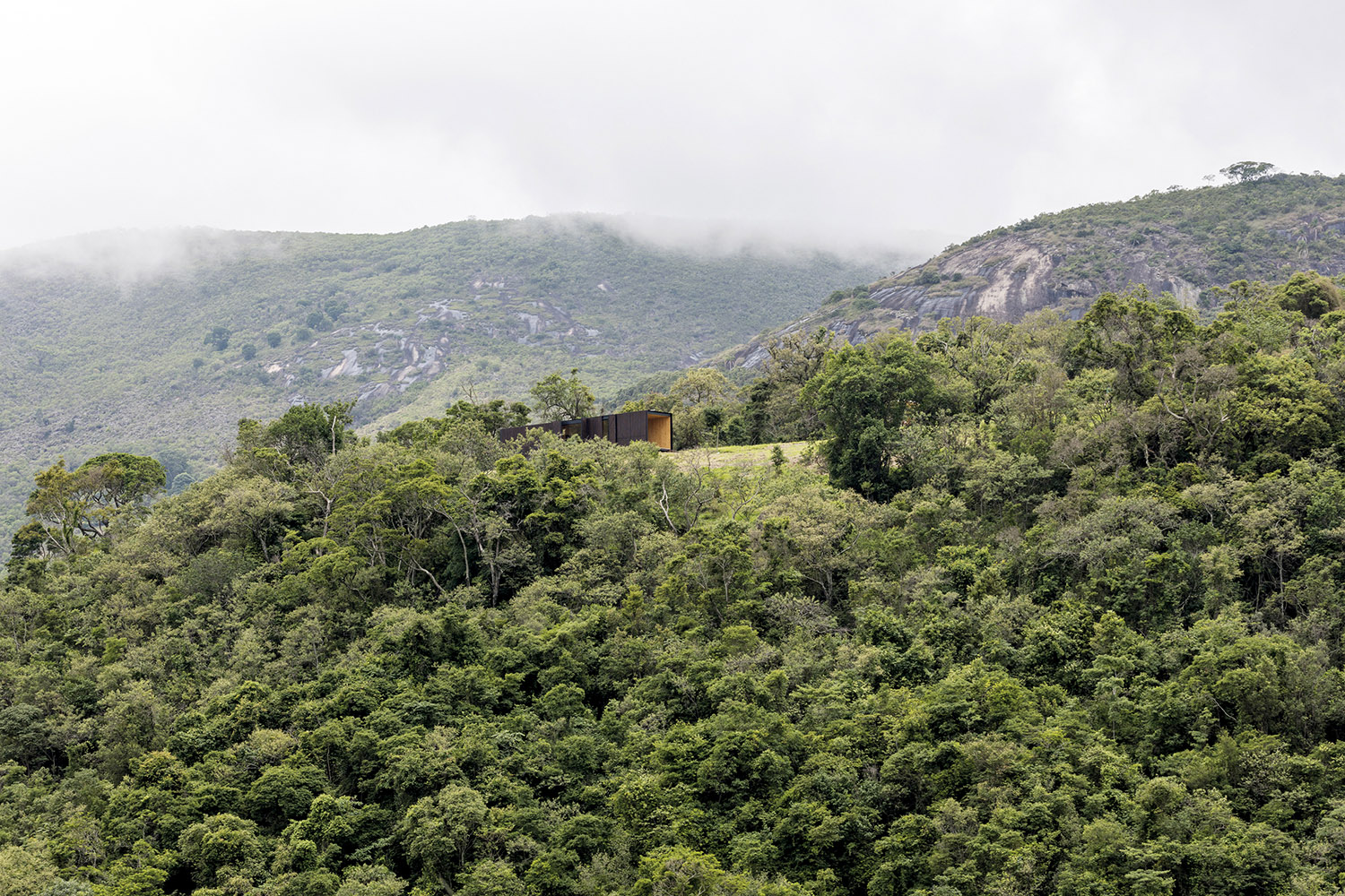 Refuge in nature