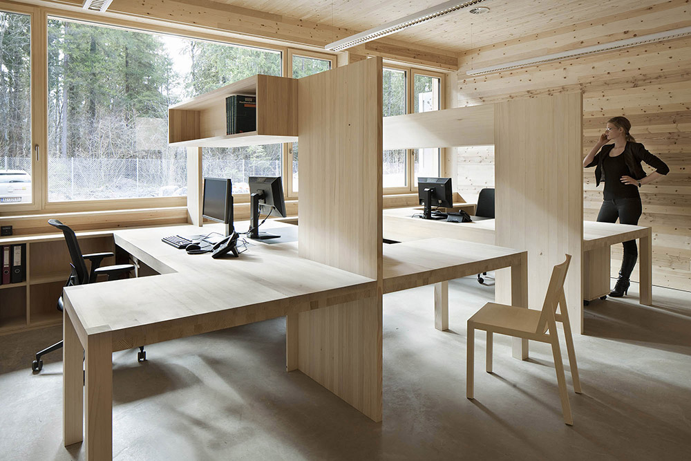 Interior offices in wood
